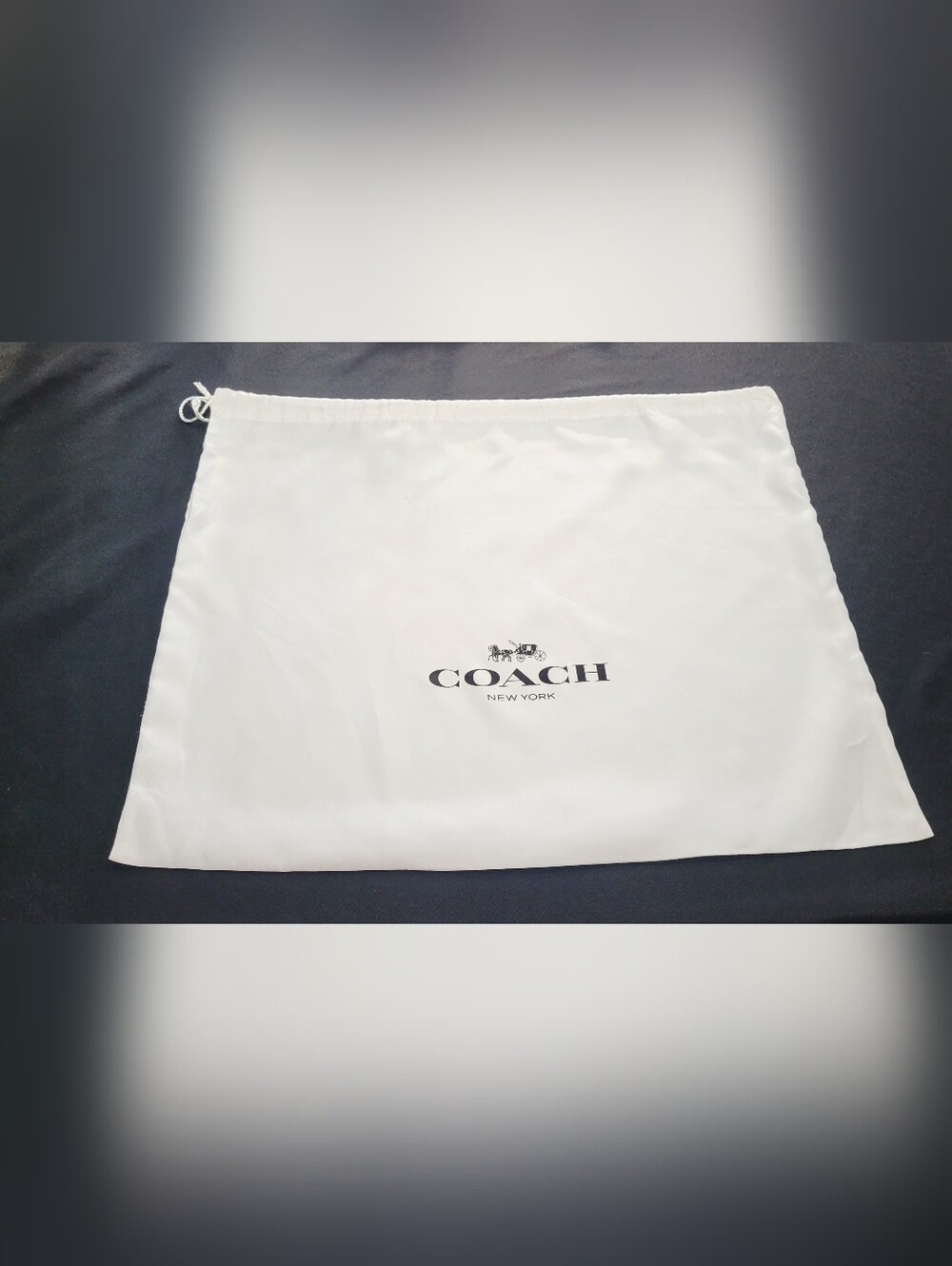Coach Dust Storage Bag
